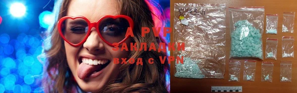 PSILOCYBIN Дмитриев