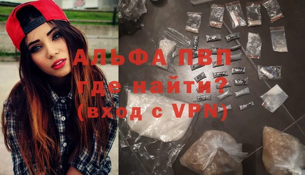 PSILOCYBIN Дмитриев