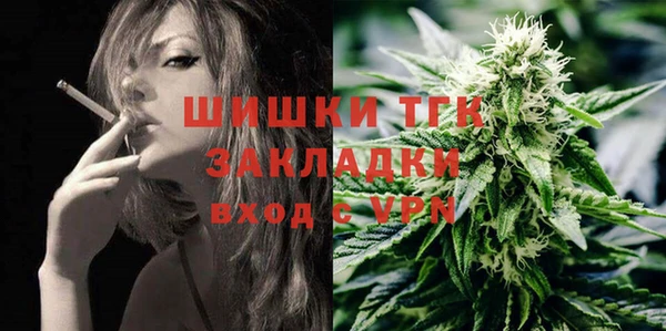 стафф Елизово