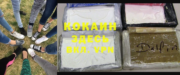 PSILOCYBIN Дмитриев
