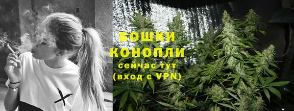 стафф Елизово