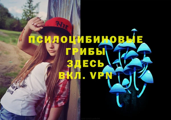 стафф Елизово