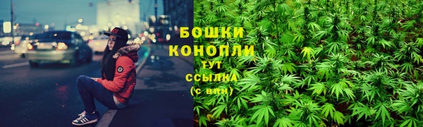 прущая мука Елабуга