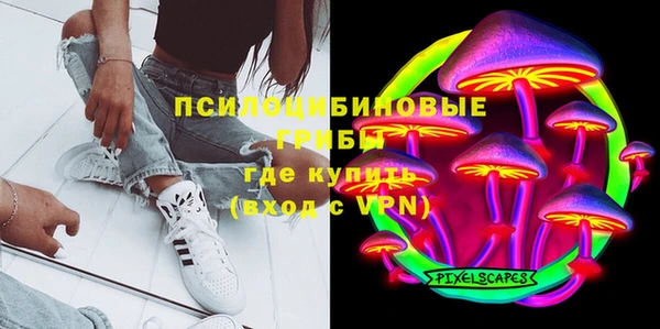 прущая мука Елабуга
