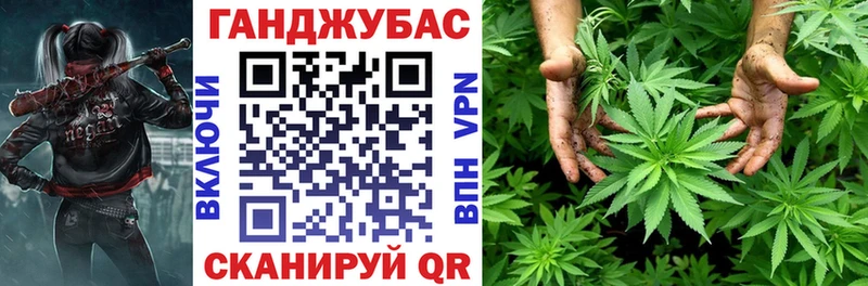 Купить где  Краснознаменск  Канабис конопля 